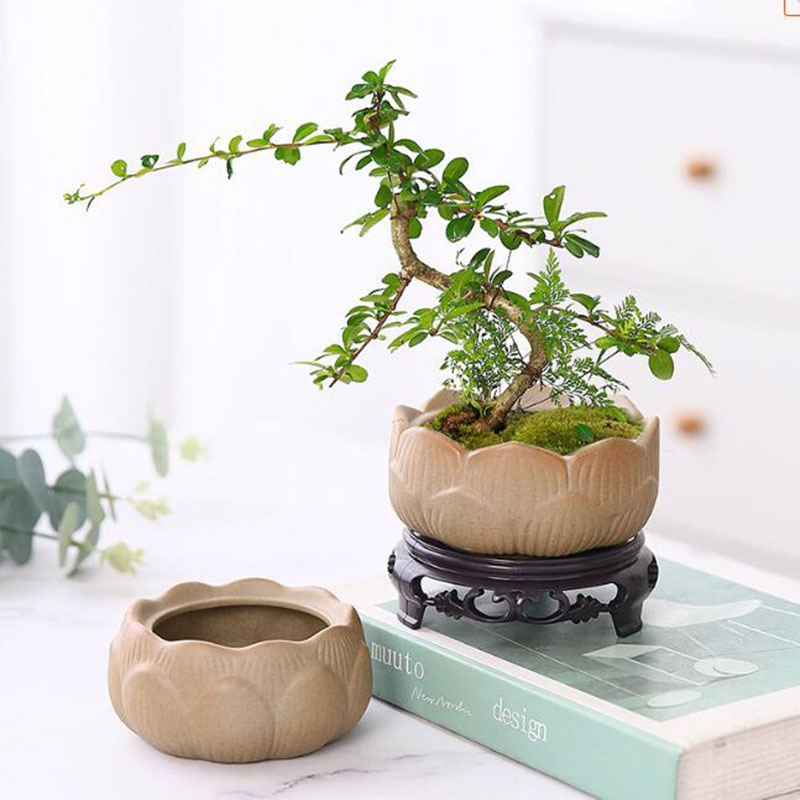 Bonsai Garden Europe - Vaso per piante verde loto in