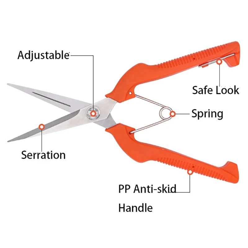 Forbici da Potatura Multiuso – - Bonsai Garden Knife recensione e prezzo