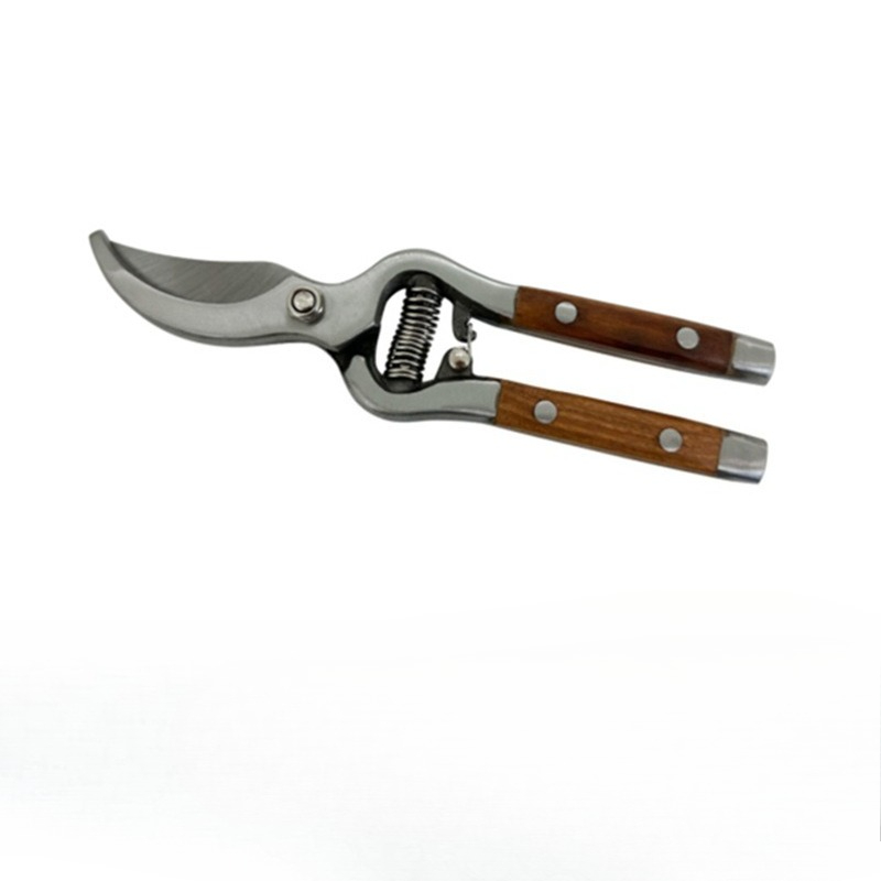 1 pezzo di forbici da potatura - Bonsai Garden Knife recensione e prezzo