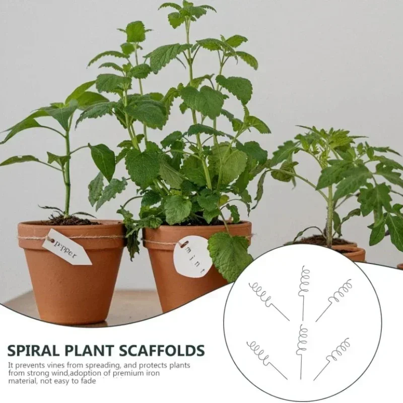 Supporto per Piante Rampicanti - Bonsai Gardening recensione e prezzo