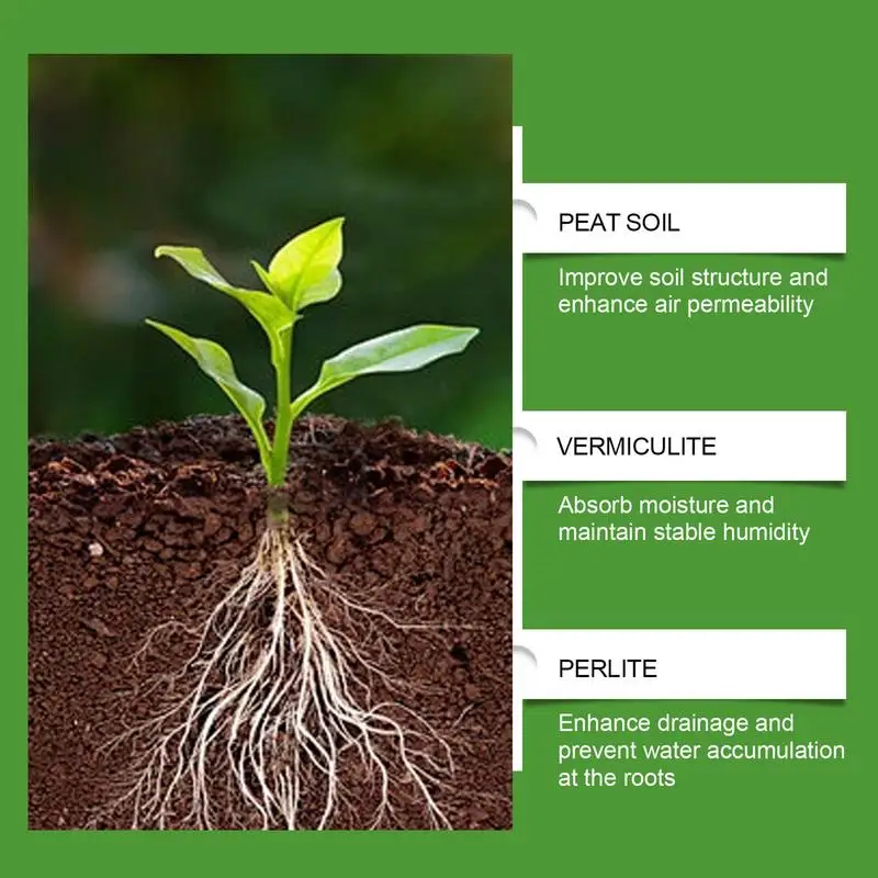Terriccio per Piante Succulent - Bonsai Gardening recensione e prezzo