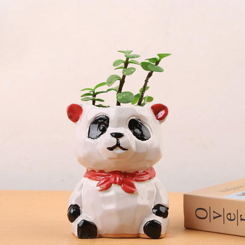 Creativo cartone animato anima - Bonsai Garden Europe recensione e prezzo
