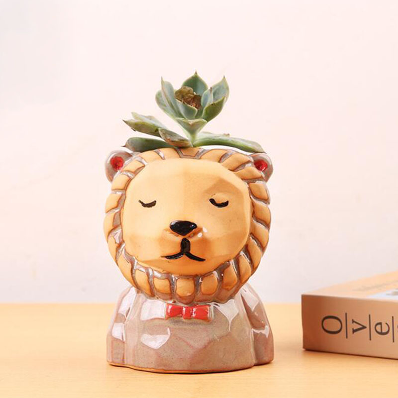 Creativo cartone animato anima - Bonsai Garden Europe recensione e prezzo