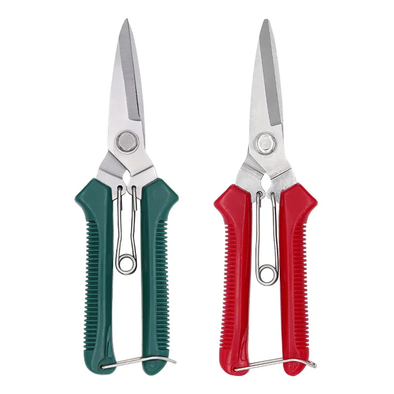 Forbici da Potatura a Testa Dr - Bonsai Garden Knife recensione e prezzo
