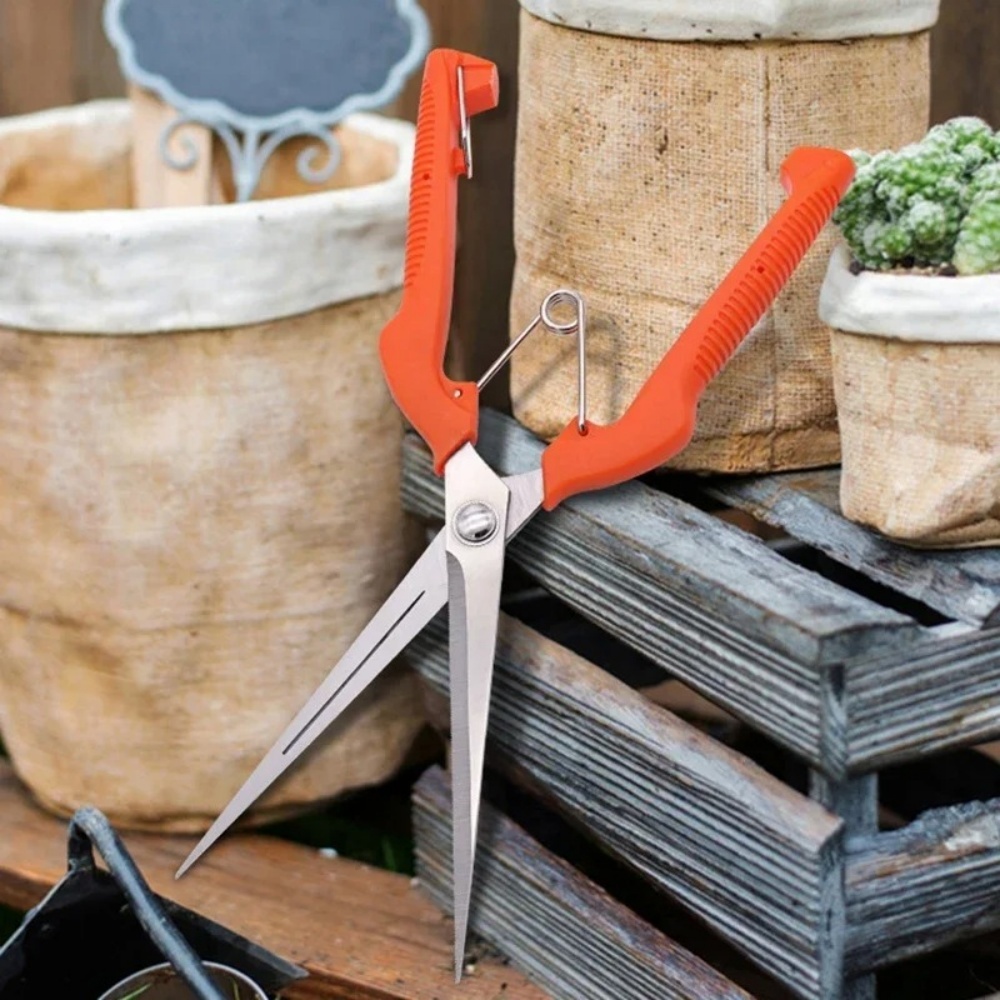 Cesoie da potatura professiona - Bonsai Garden Knife recensione e prezzo