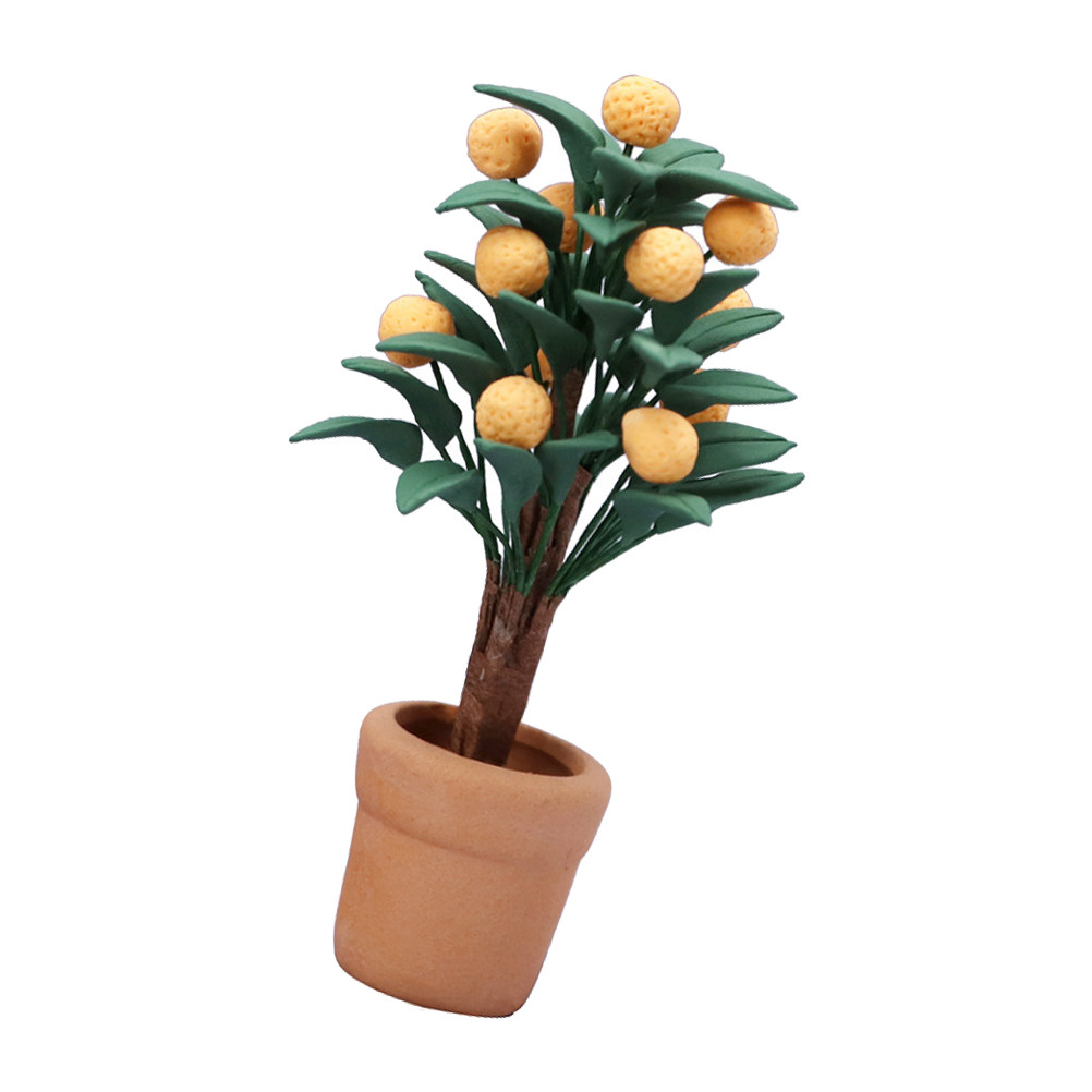 Albero di Kumquat in Miniatura - Bonsai Garden Europe recensione e prezzo