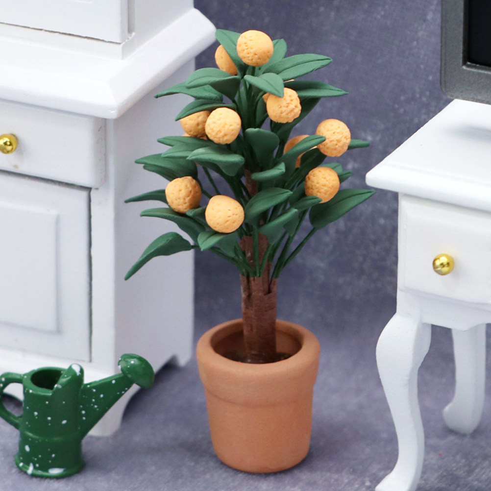 Albero di Kumquat in Miniatura - Bonsai Garden Europe recensione e prezzo
