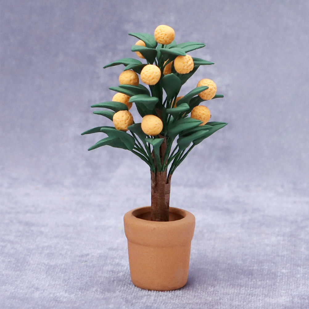 Albero di Kumquat in Miniatura - Bonsai Garden Europe recensione e prezzo