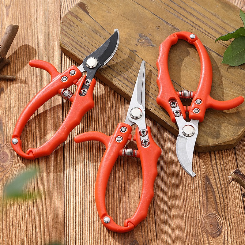 Forbici per rami da giardinagg - Bonsai Garden Knife recensione e prezzo