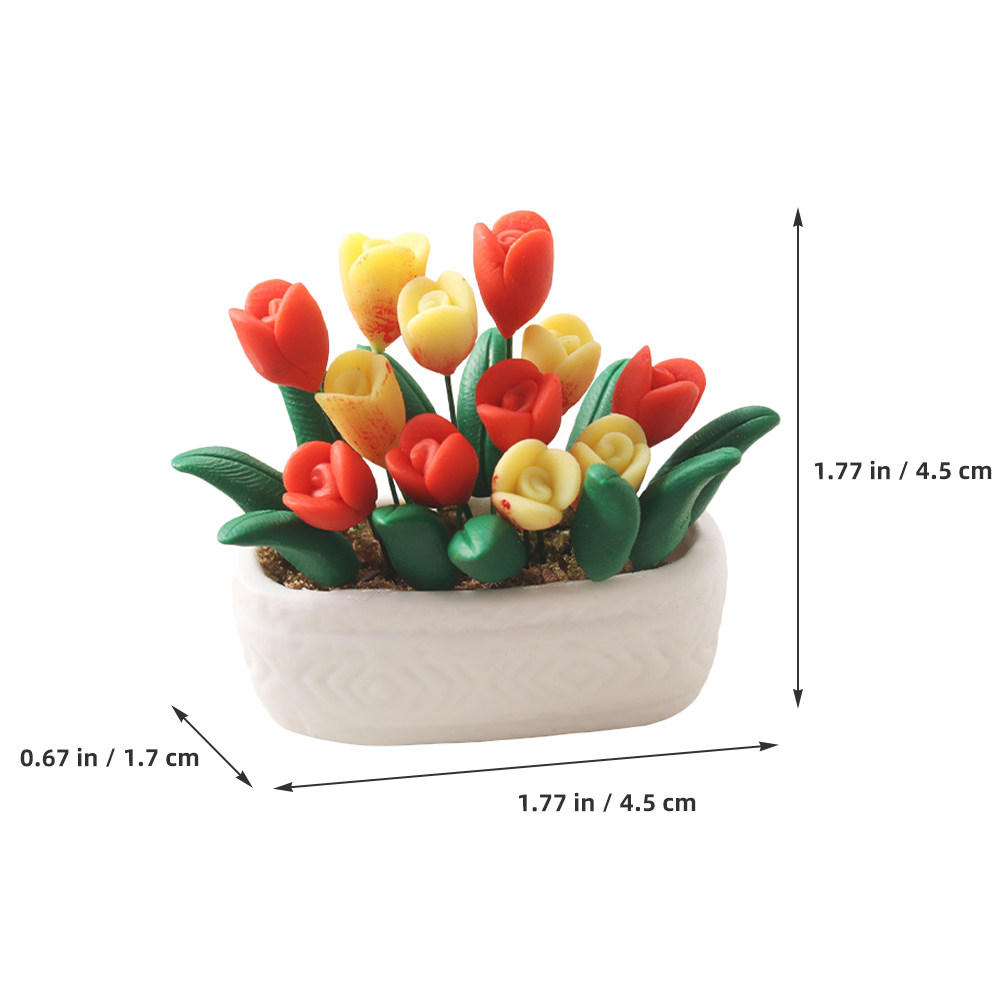 Mini Pianta di Tulipano in Vas - Bonsai Garden Europe recensione e prezzo