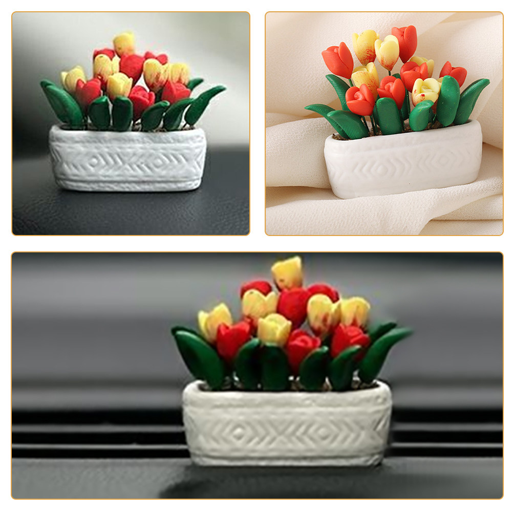 Mini Pianta di Tulipano in Vas - Bonsai Garden Europe recensione e prezzo
