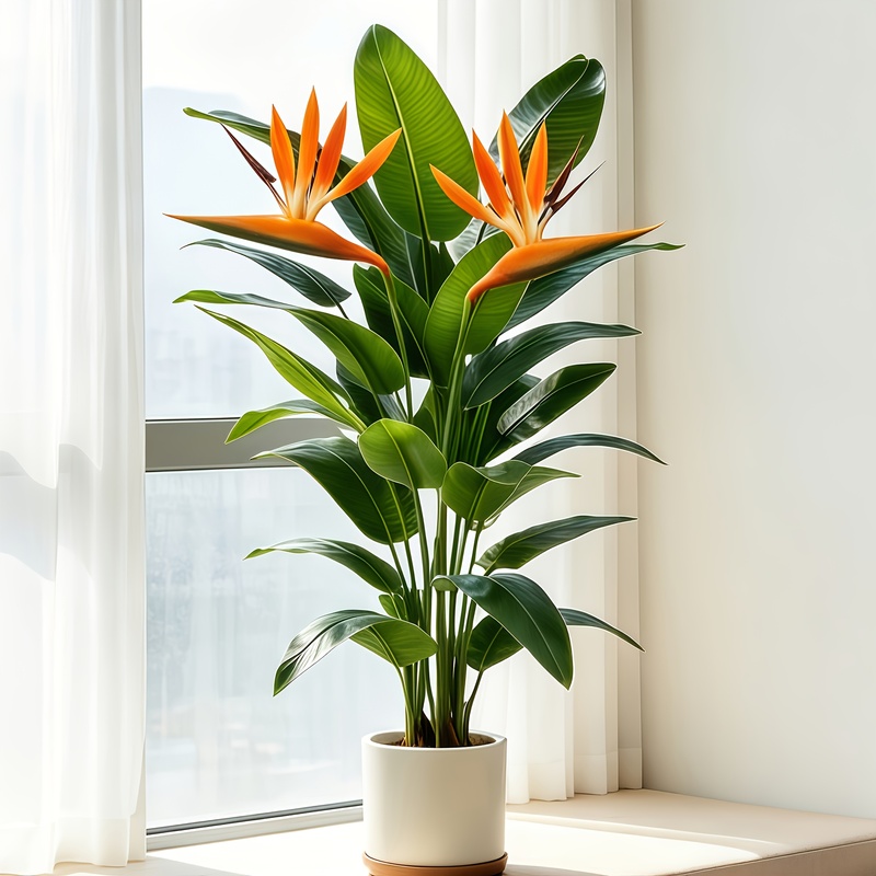 Albero di banano artificiale r - Bonsai Garden Sushi recensione e prezzo