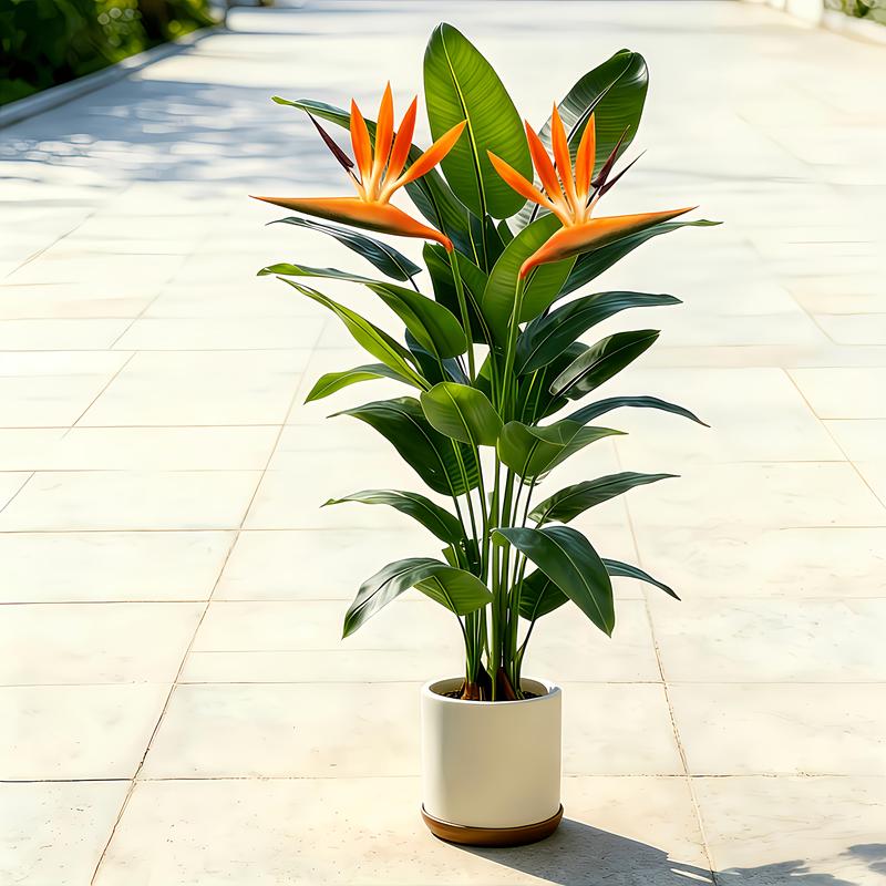 Albero di banano artificiale r - Bonsai Garden Sushi recensione e prezzo