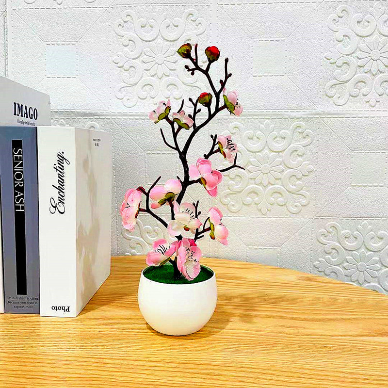 2025 CALDO Festa della mamma N - Bonsai Garden Sushi recensione e prezzo