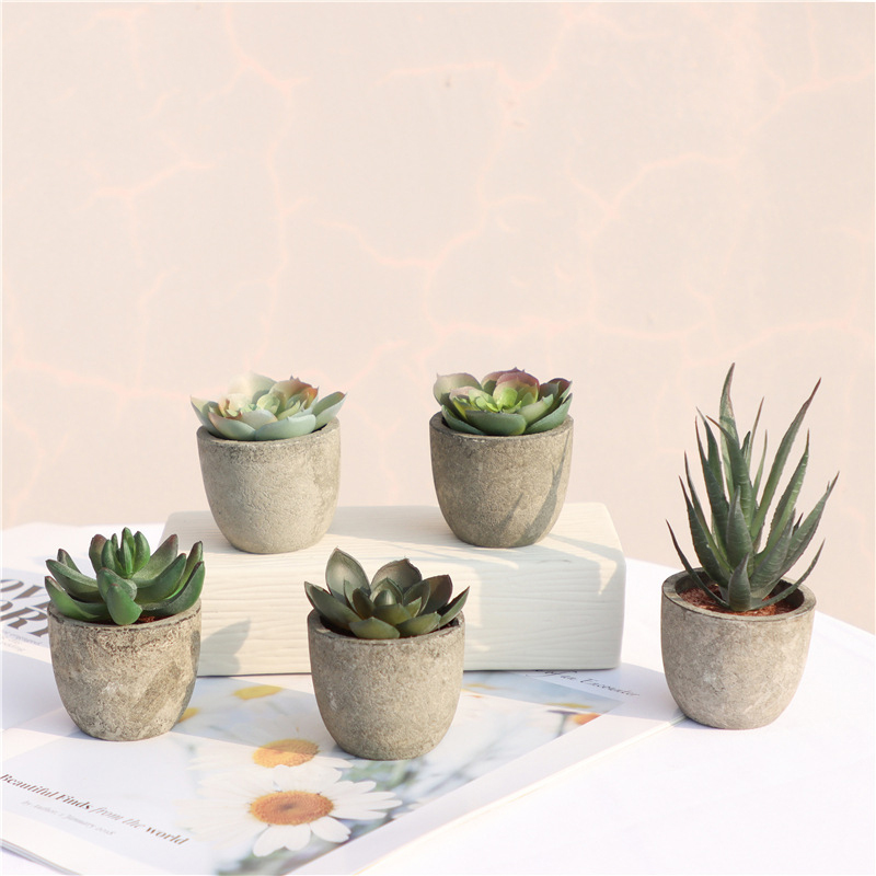 Mini piante artificiali di alo - Bonsai Garden Sushi recensione e prezzo