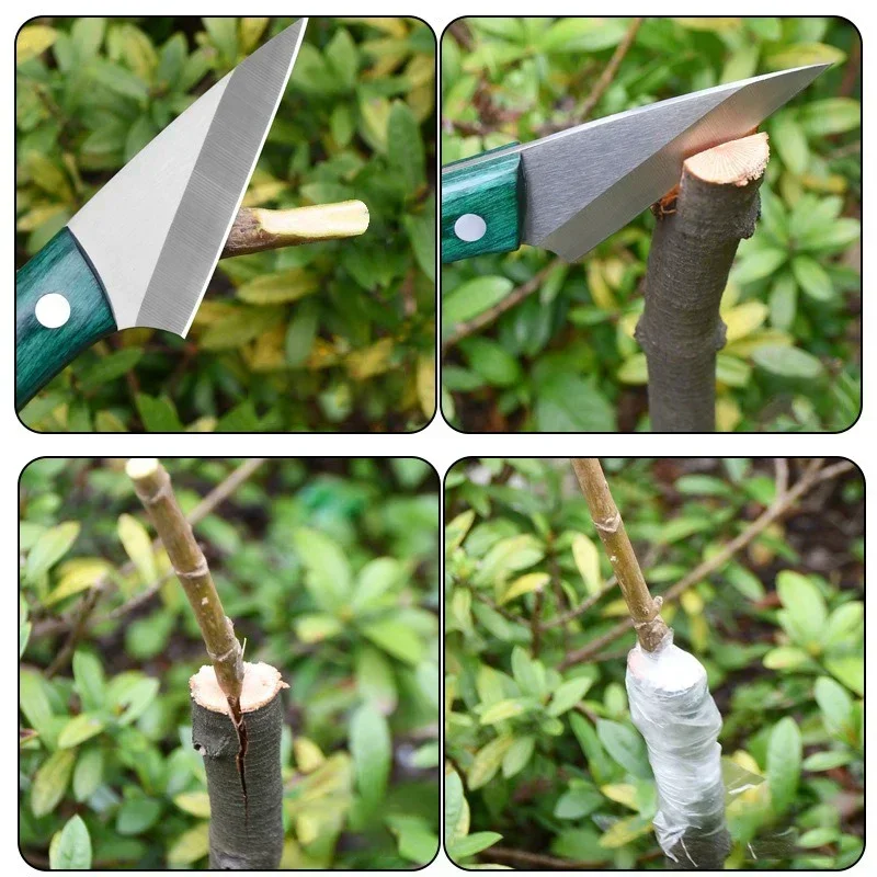 Coltello da innesto in acciaio - Bonsai Garden Knife recensione e prezzo