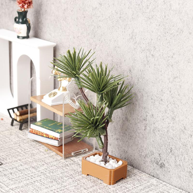1 Pezzo Albero di Pino in Mini - Bonsai Gardening recensione e prezzo