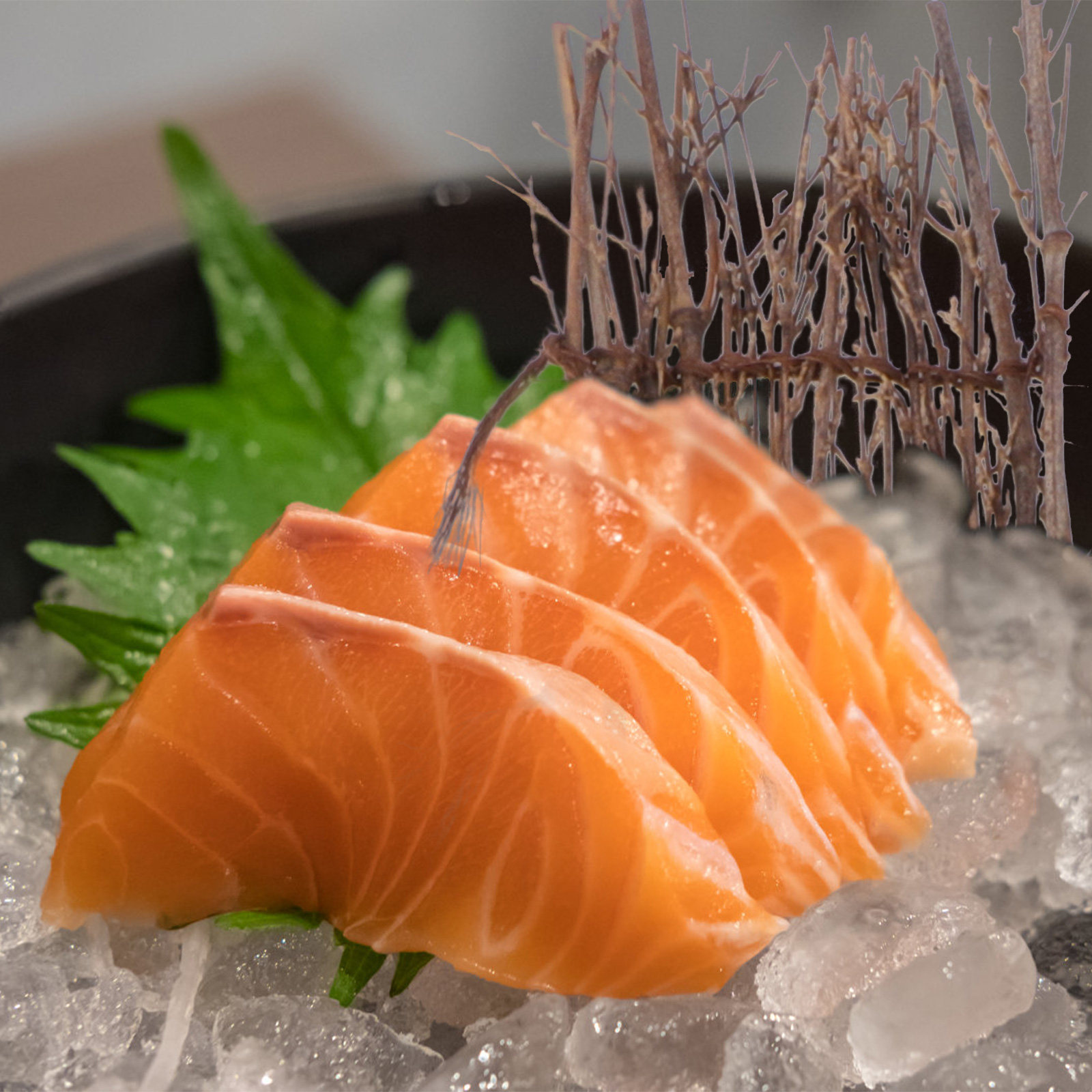 6 Pezzi di Tappetini in Micro  - Bonsai Garden Sushi recensione e prezzo
