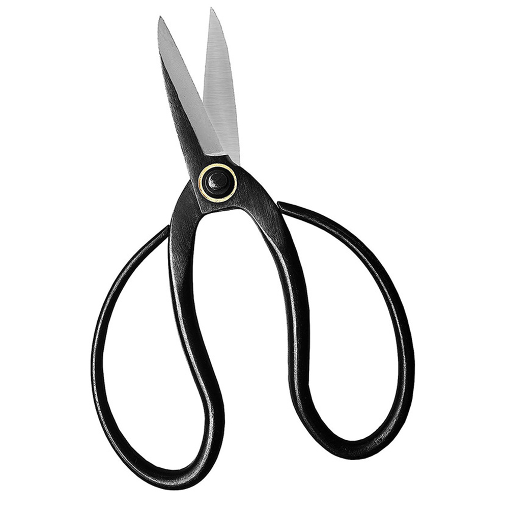 Forbici professionali per bons - Concave Branch Cutter recensione e prezzo
