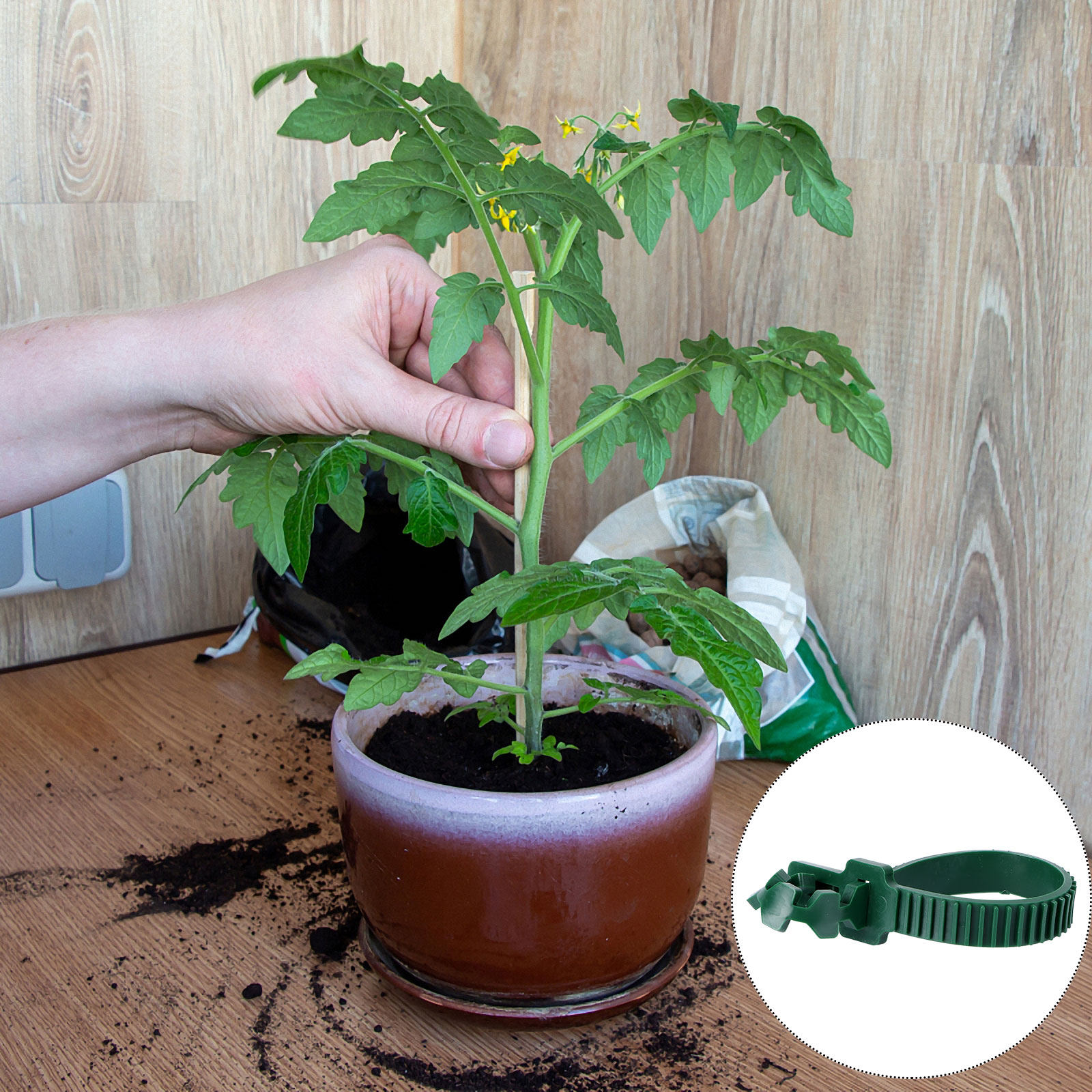 20 Pezzi di Clip di Fissaggio  - Bonsai Gardening recensione e prezzo