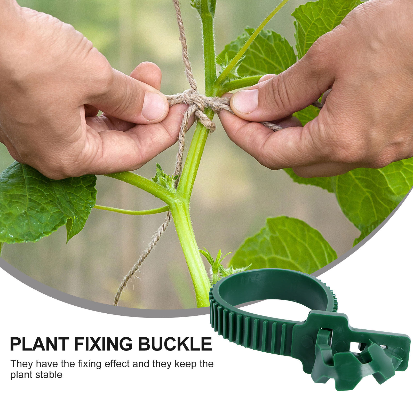 20 Pezzi di Clip di Fissaggio  - Bonsai Gardening recensione e prezzo