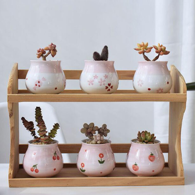 Cute Pink Girl Heart Series va - Bonsai Garden Europe recensione e prezzo