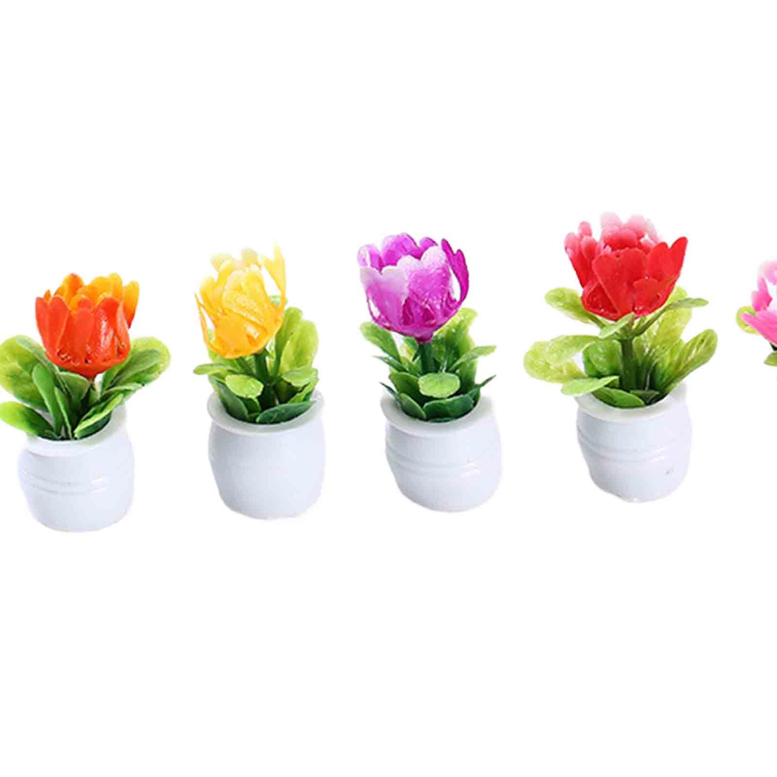 5 Pezzi Vasi di Fiori in Minia - Bonsai Garden Europe recensione e prezzo