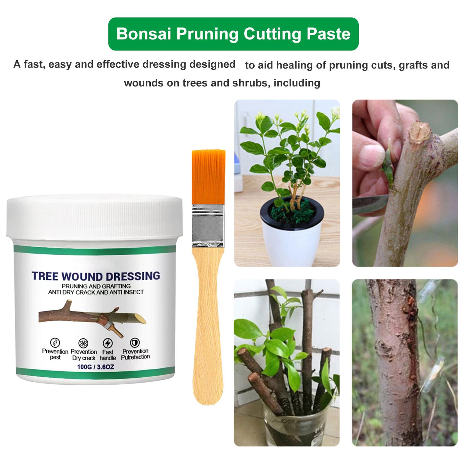 Sigillante per Ferite da Potat - Bonsai Gardening recensione e prezzo