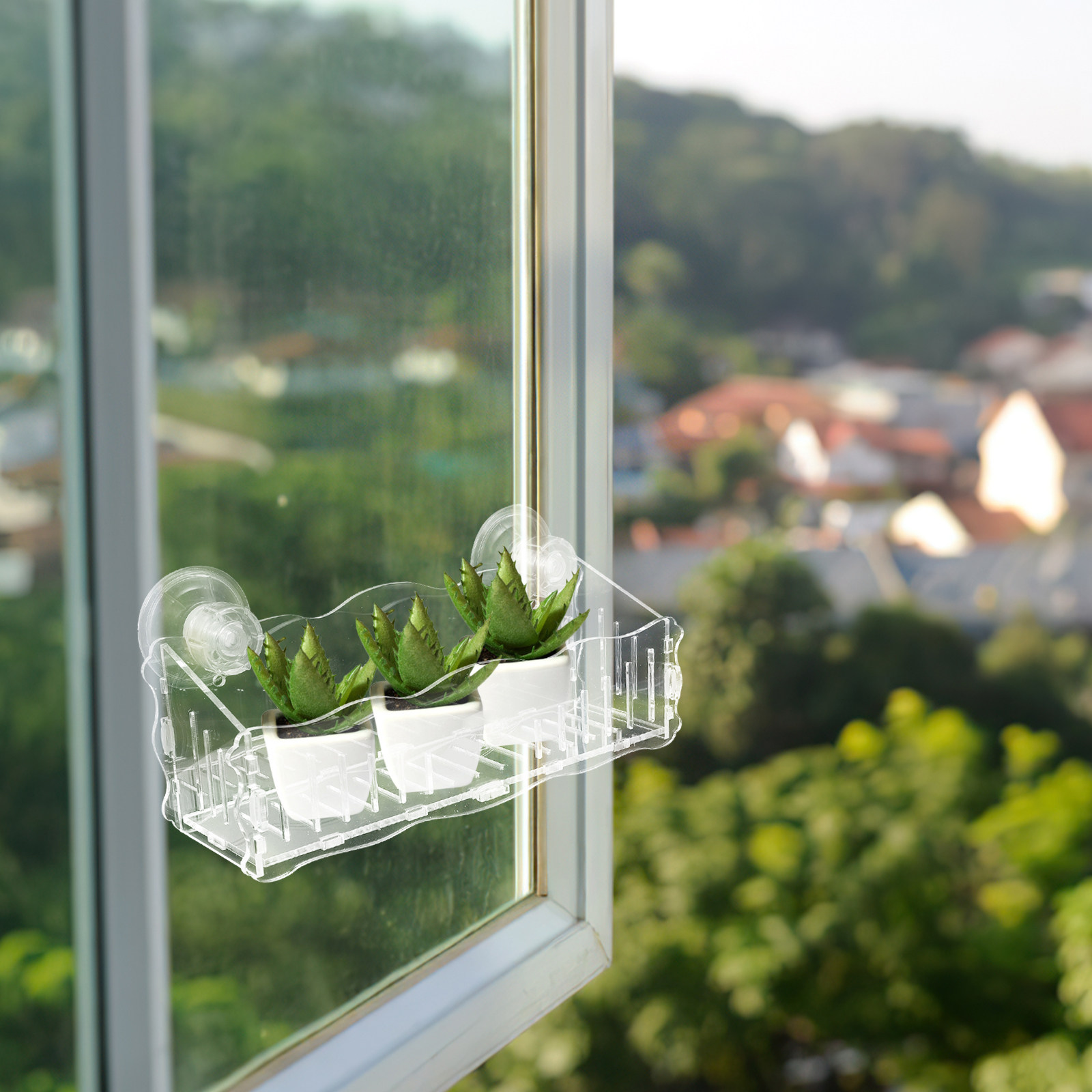 Portavaso con ventosa, support - Bonsai Gardening recensione e prezzo