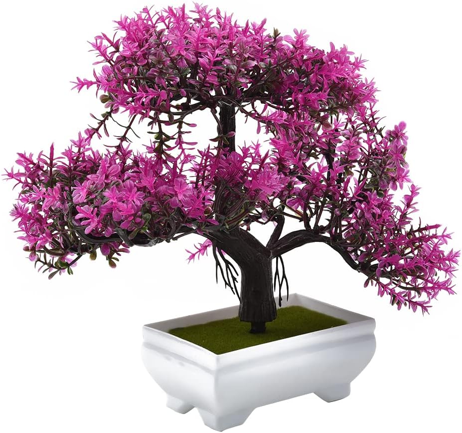 Piante artificiali Bonsai Pian - Bonsai Garden Sushi recensione e prezzo