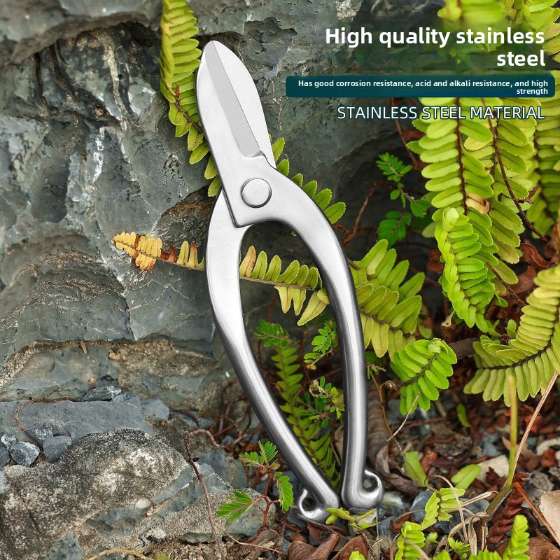 Forbici Ikebana in Acciaio Ino - Bonsai Garden Knife recensione e prezzo