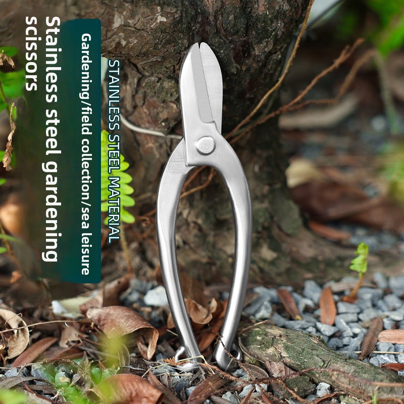 Forbici Ikebana in Acciaio Ino - Bonsai Garden Knife recensione e prezzo
