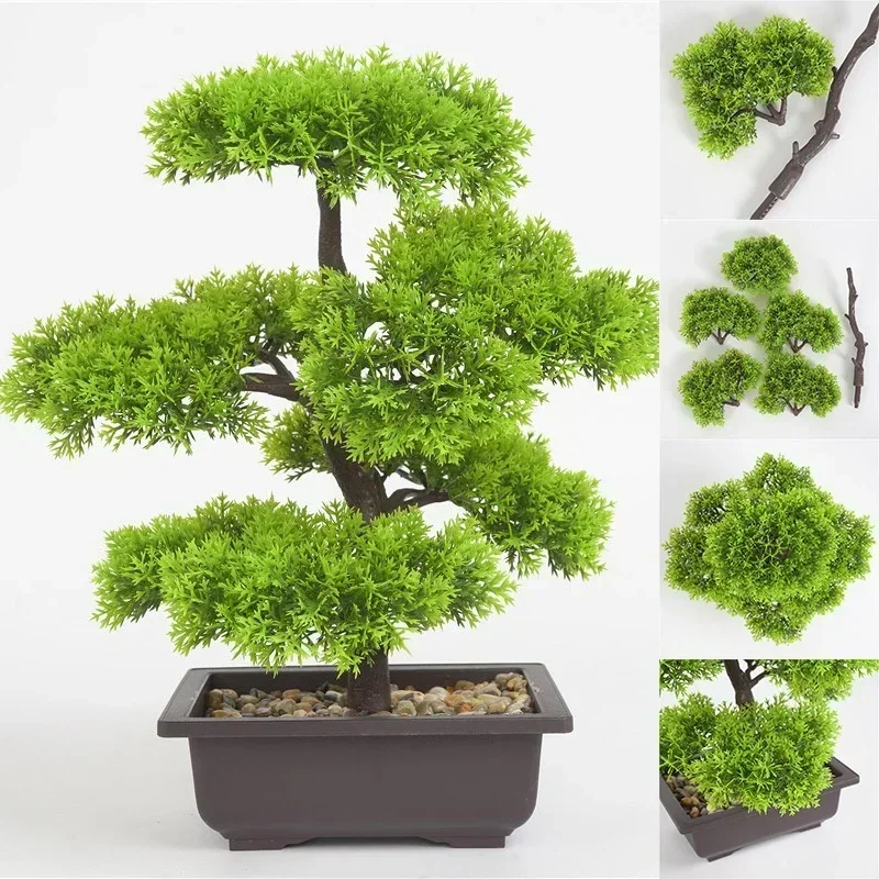 Piante artificiali Pino Bonsai - Bonsai Garden Sushi recensione e prezzo