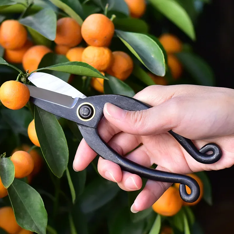 Cesoie da potatura da giardino - Concave Branch Cutter recensione e prezzo